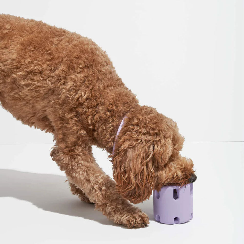 FetchFun™ | Tennis dog chew toy