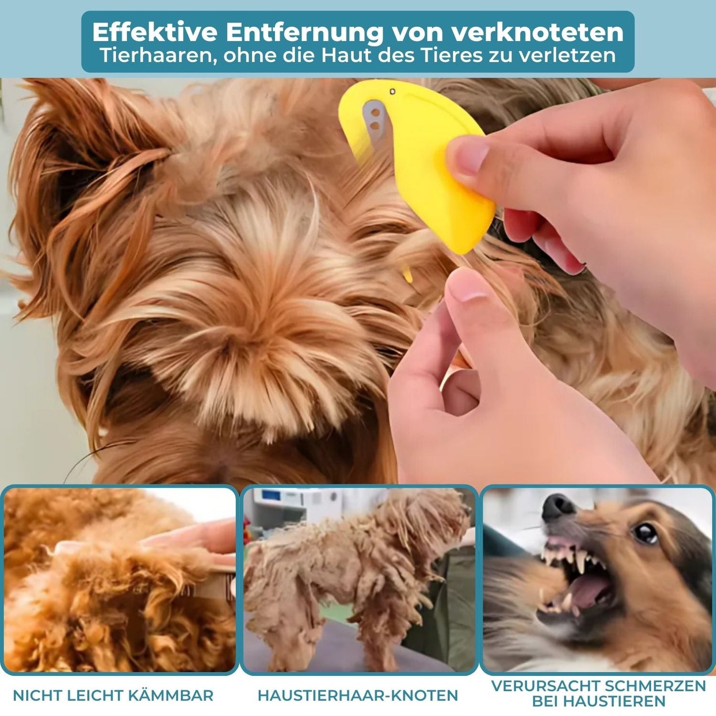 PetSanity™ | Mite Remover for Cats and Dogs