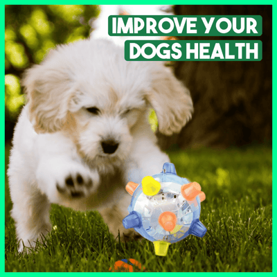BounceBark™ – The ball that banishes boredom