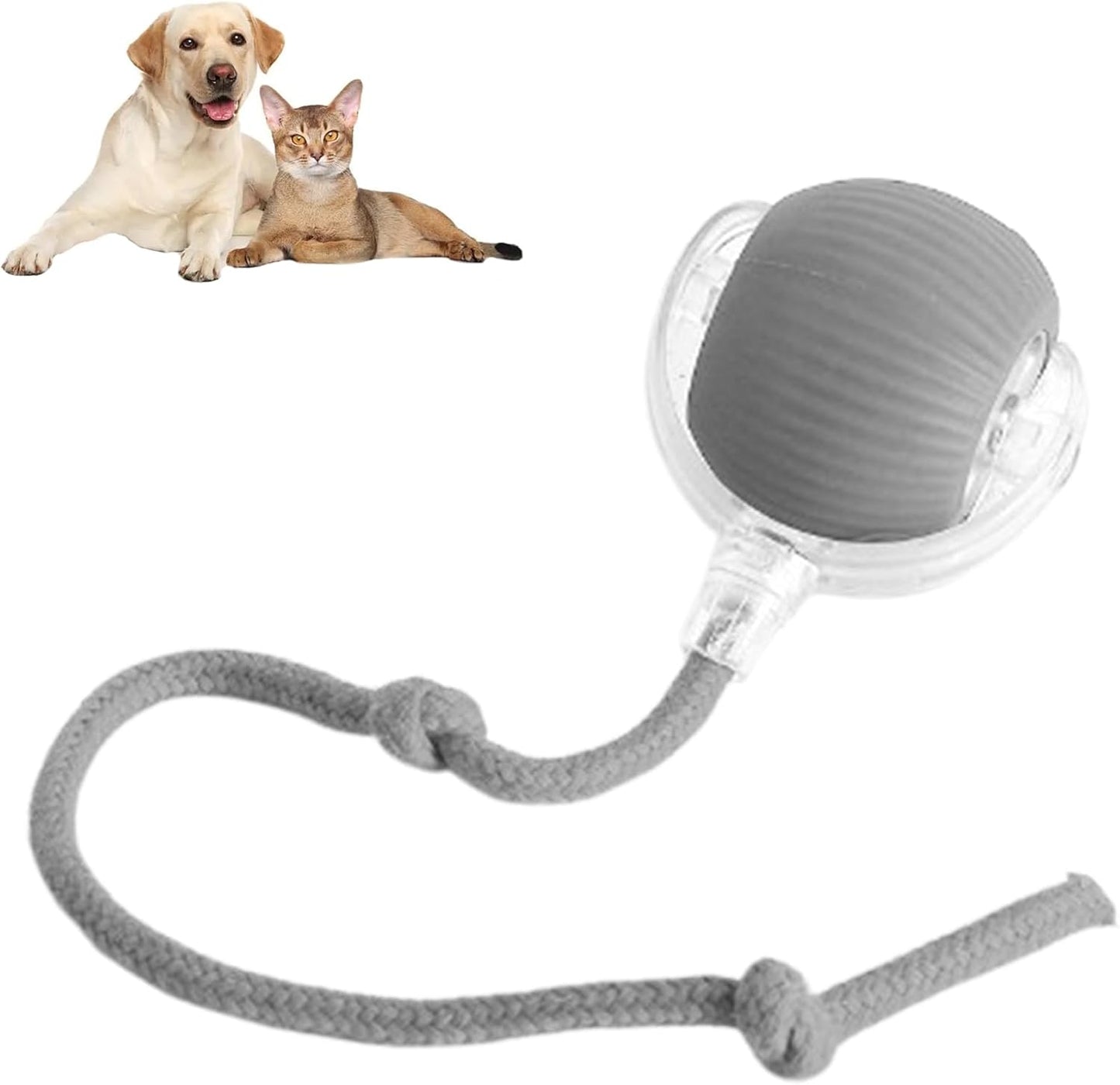 AutoPaws™ | Automatic, self-moving