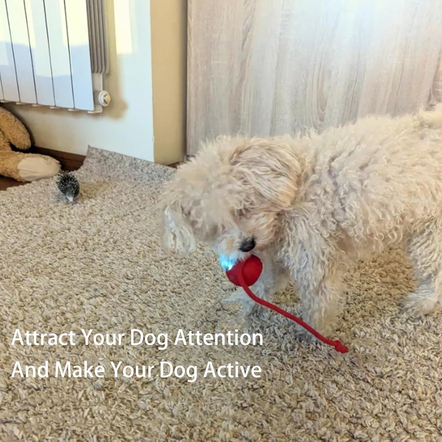 AutoPaws™ | Automatic, self-moving