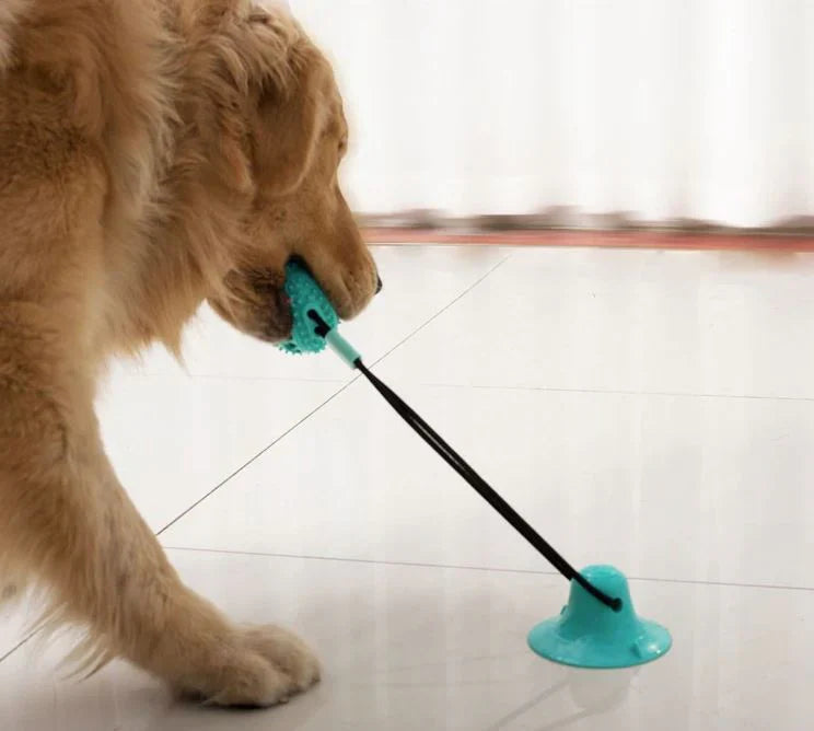 ChewMaster™ – Interactive Dog Toy with Suction Cup