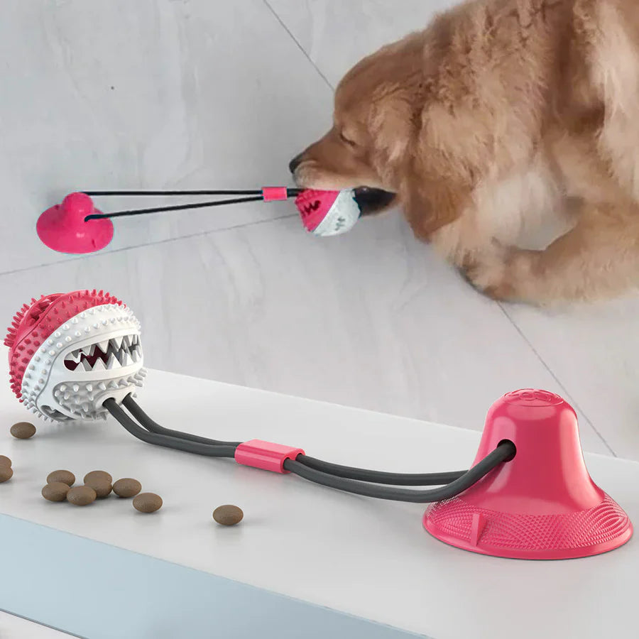ChewMaster™ – Interactive Dog Toy with Suction Cup