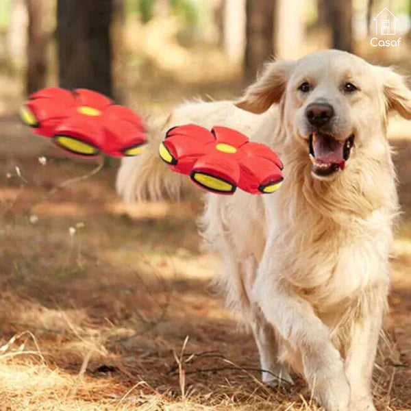 SkySpin™ | Magic Flying Saucer Ball