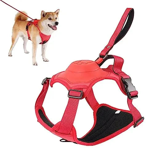 LeashLead™ | Dog Harness