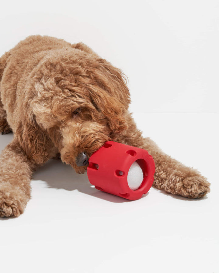 FetchFun™ | Tennis dog chew toy