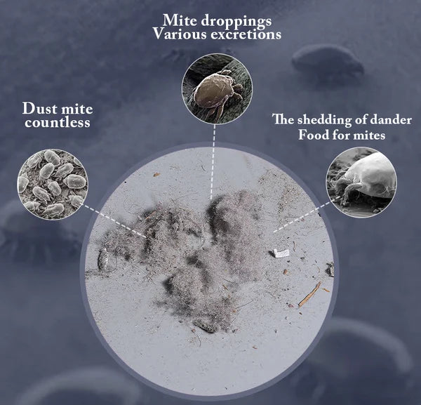 MiteVac™ | Cordless Mattress Vacuum Dust Mite Remover