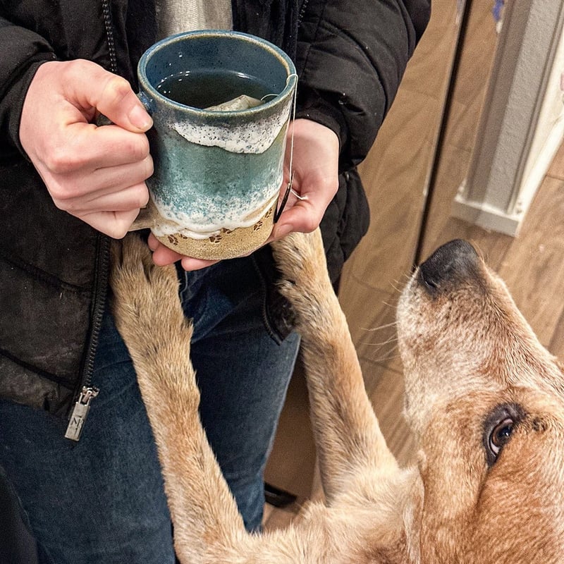Cupshore™ | 3D Printed Ceramic Shoreline Coffee Mug