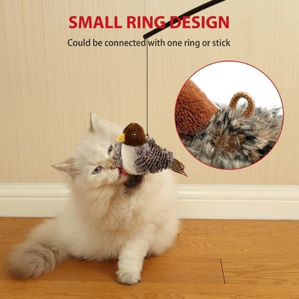 Petalk™ | Your cat will never be bored again