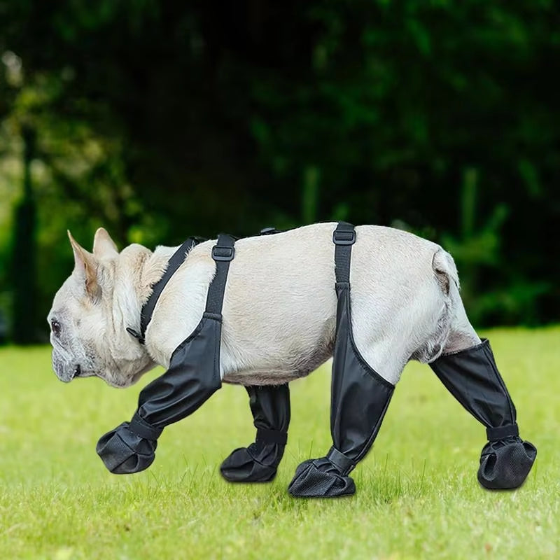 PawGrip™ | Waterproof dog boots with rubber sole