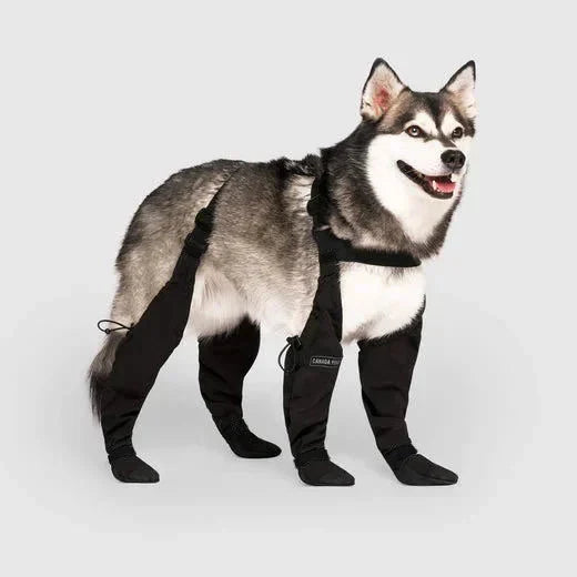 Wasserdichte Pfotenschützer für Hunde für Outdoor-Abenteuer