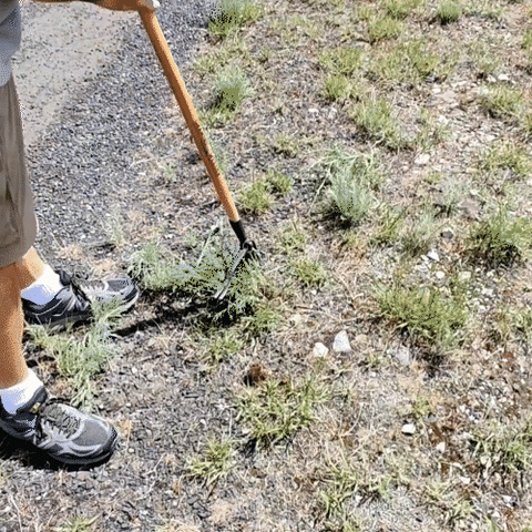 WeedOut™ | ProStep Weed Puller