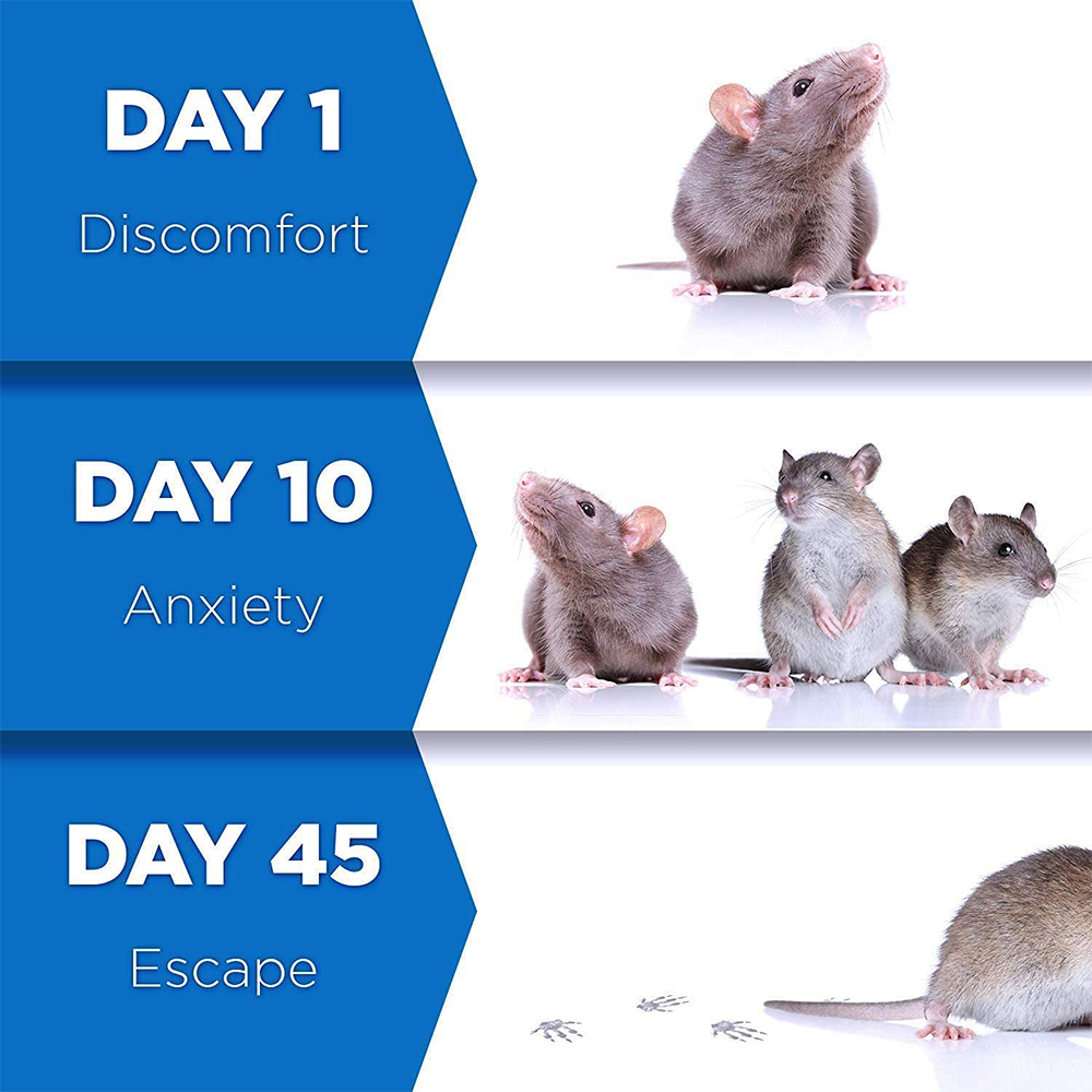 Pest Reject™ | No more insect problems this summer!