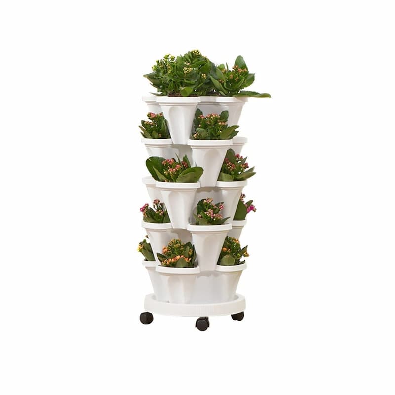 BloomTower™ | Put your green thumb to work!
