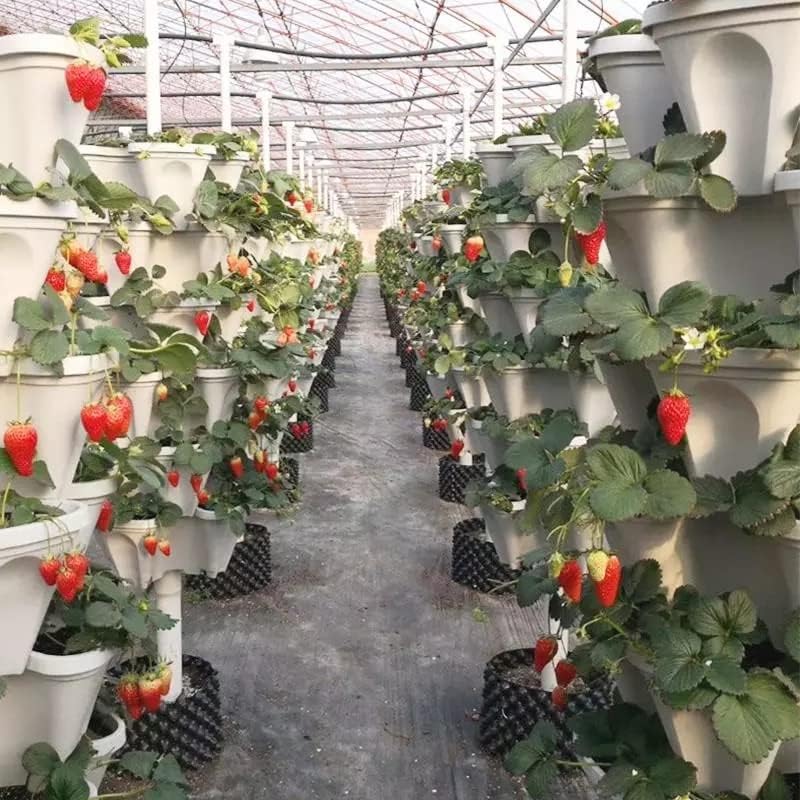 BloomTower™ | Put your green thumb to work!