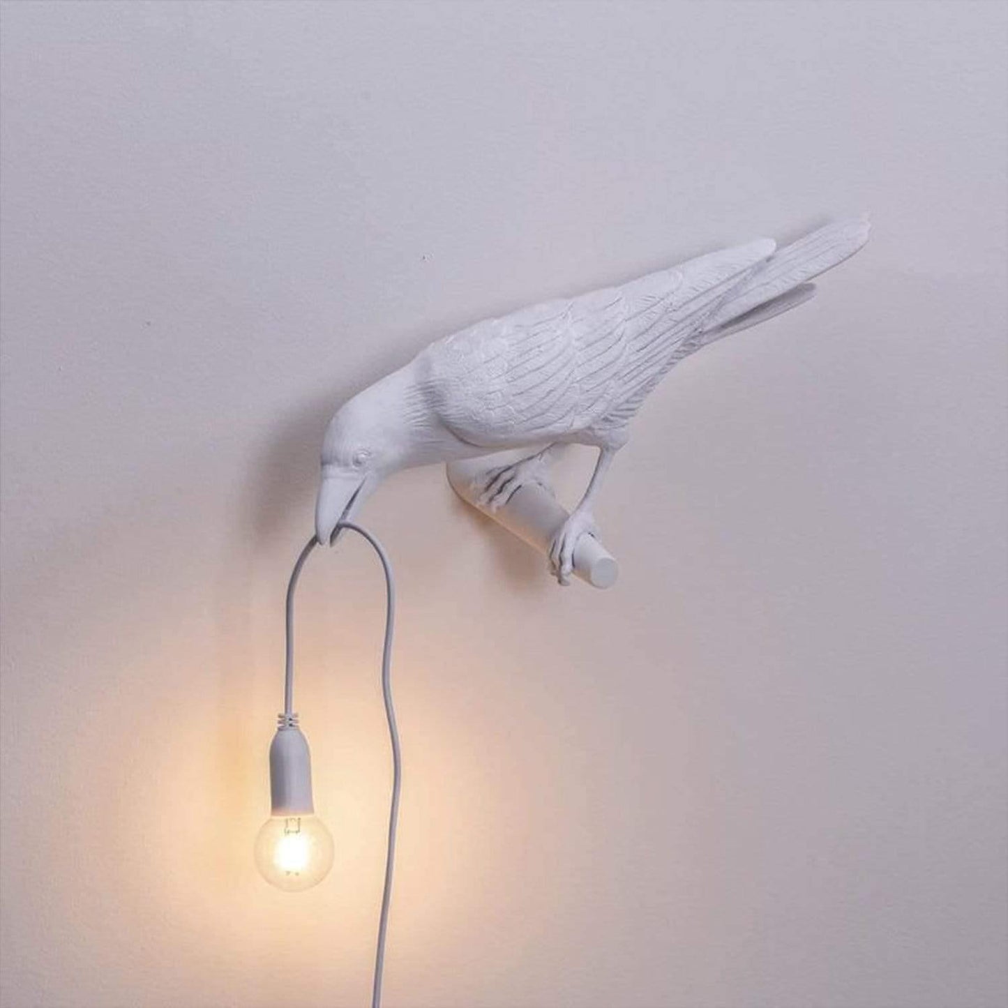 50% off | RavenAura™ - Where every light brings a touch of magic into your home