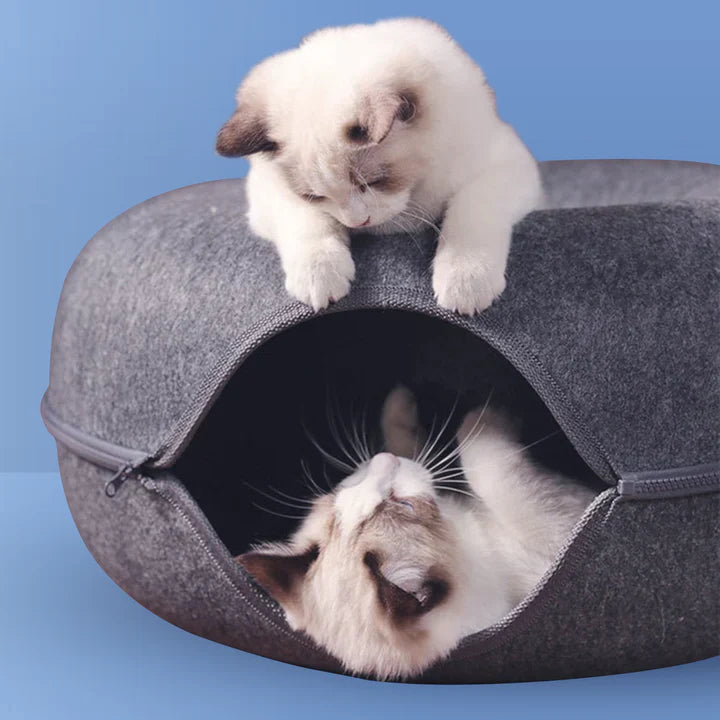 CatHole™ | Pet Cave
