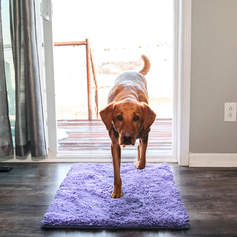 DirtGuard Mat™ | The ultimate dirt catcher for floors!