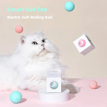 50% off | CatDance™ - Activate your cat's natural instincts! [Last day discount]