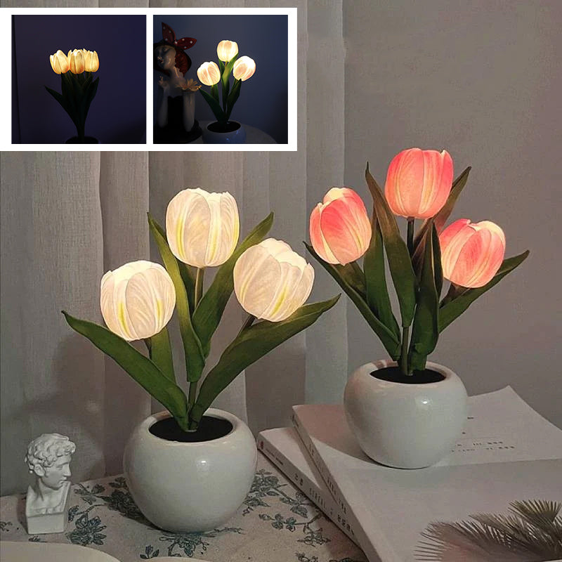 LumaBloom – Sofort jeden Raum mit warmem, einladendem Licht erhellen