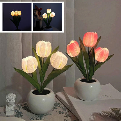 LumaBloom – Sofort jeden Raum mit warmem, einladendem Licht erhellen