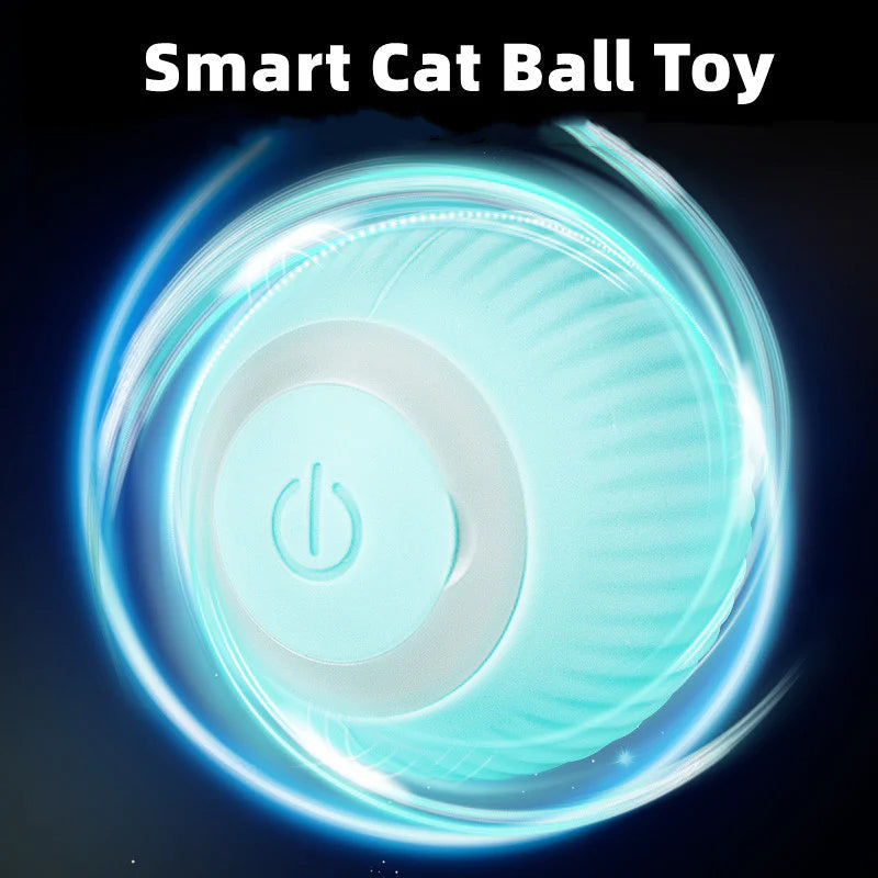 50% off | CatDance™ - Activate your cat's natural instincts! [Last day discount]