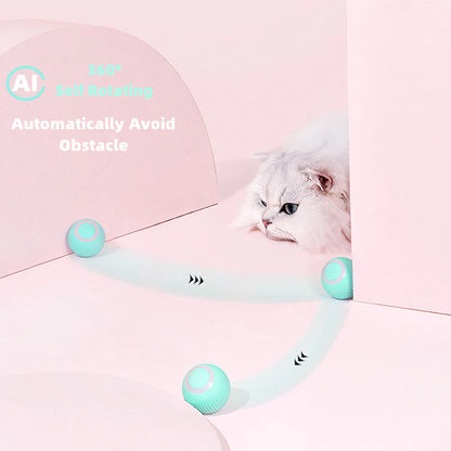50% off | CatDance™ - Activate your cat's natural instincts! [Last day discount]