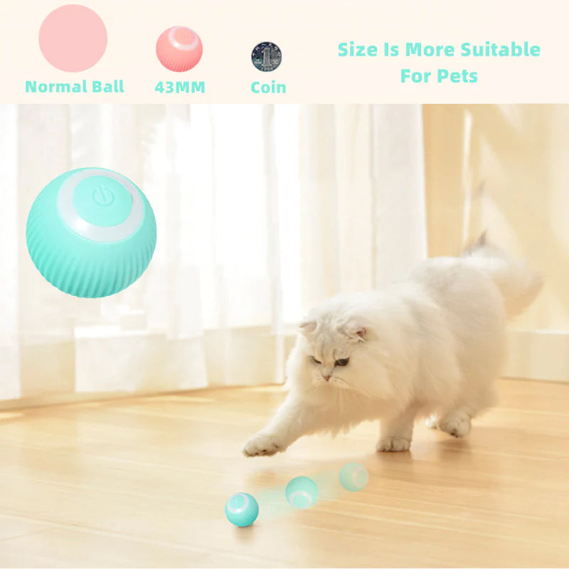50% off | CatDance™ - Activate your cat's natural instincts! [Last day discount]