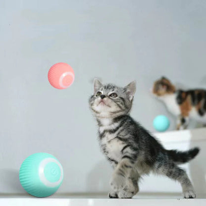 50% off | CatDance™ - Activate your cat's natural instincts! [Last day discount]
