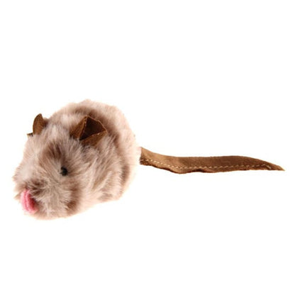 Petalk™ | Your cat will never be bored again