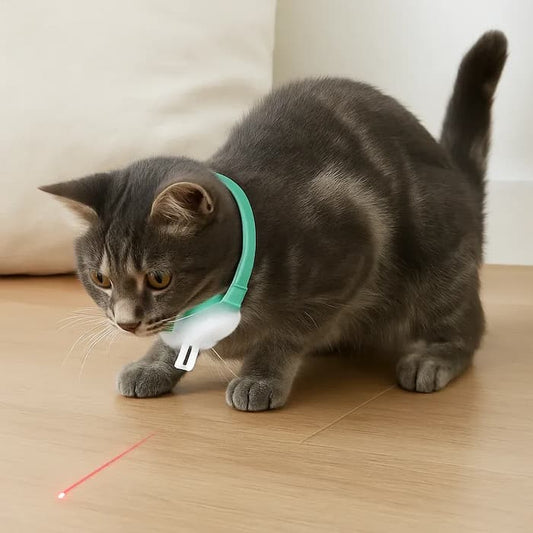 PawLuxe™ - Interaktives Laser-Spielzeughalsband für Katzen