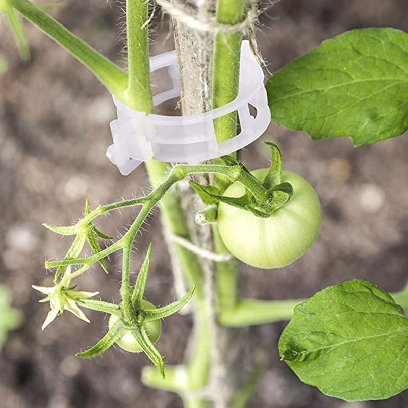 PlantBuddy™ | StemStabilisers - Keep your garden stable and strong!