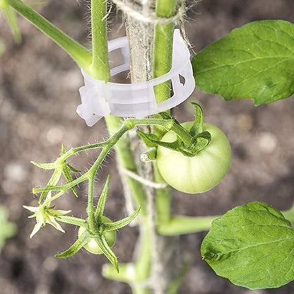 PlantBuddy™ | StemStabilisers - Keep your garden stable and strong!