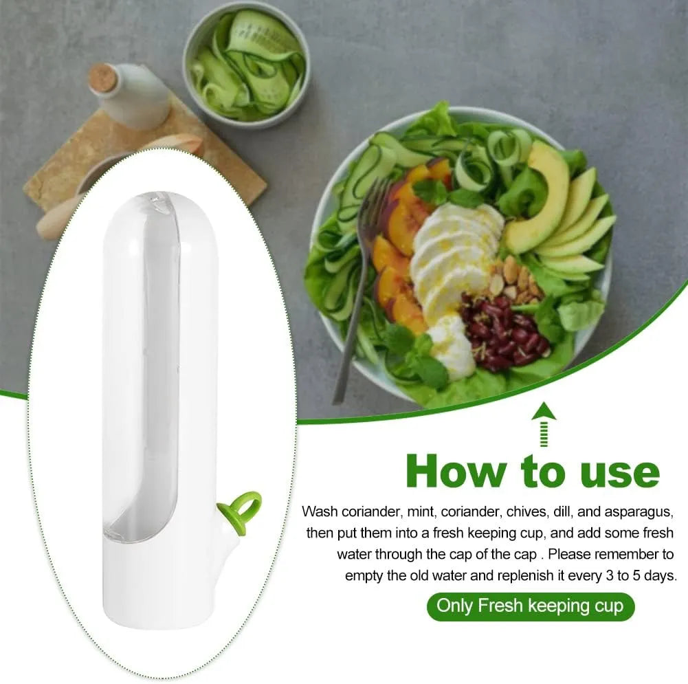HerbPod™ | Fresh-keeping container for vegetables and herbs