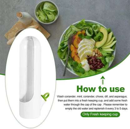 HerbPod™ | Fresh-keeping container for vegetables and herbs