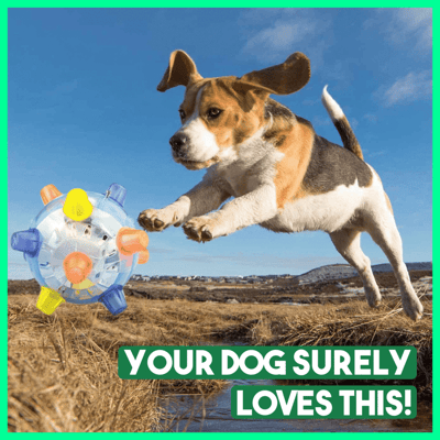 BounceBark™ – The ball that banishes boredom