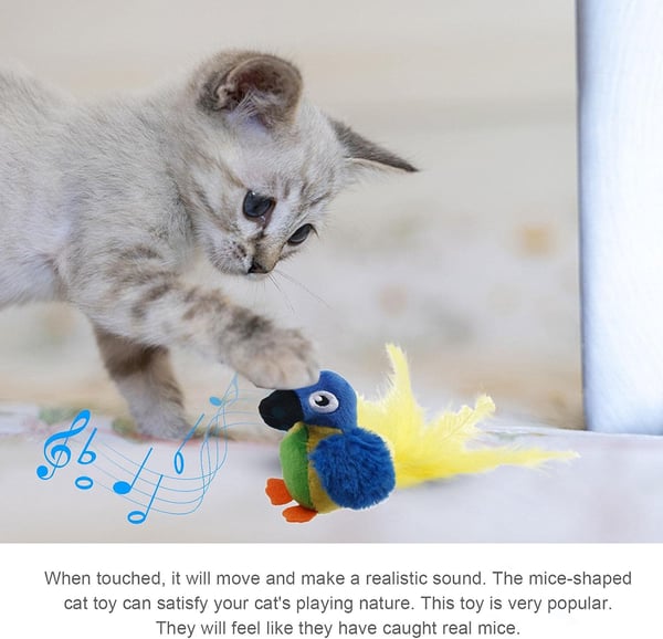 Petalk™ | Your cat will never be bored again