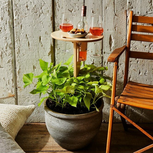 Picky™ | Foldable Picnic Table with Wine Holder