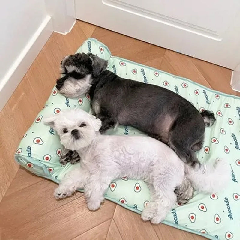 CoolPetty™ | Cooling mat for dogs and cats