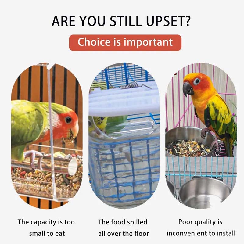HappyBird Feeder™ | Always fresh food, without the hassle!