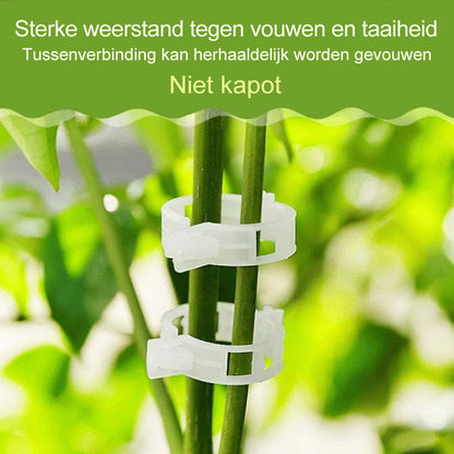 PlantBuddy™ | StemStabilisers - Keep your garden stable and strong!