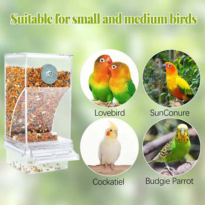 HappyBird Feeder™ | Always fresh food, without the hassle!