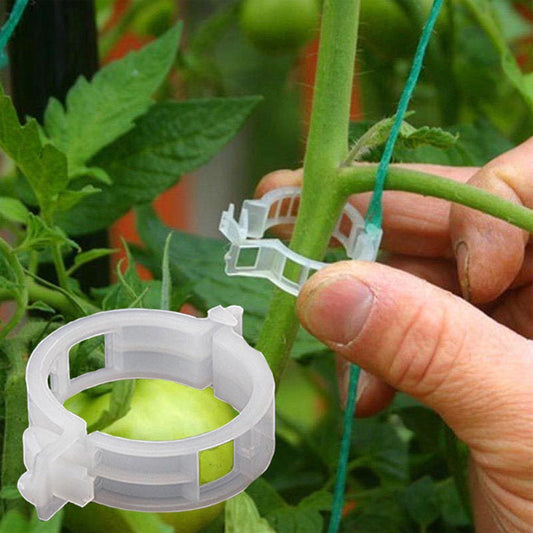 PlantBuddy™ | StemStabilisers - Keep your garden stable and strong!