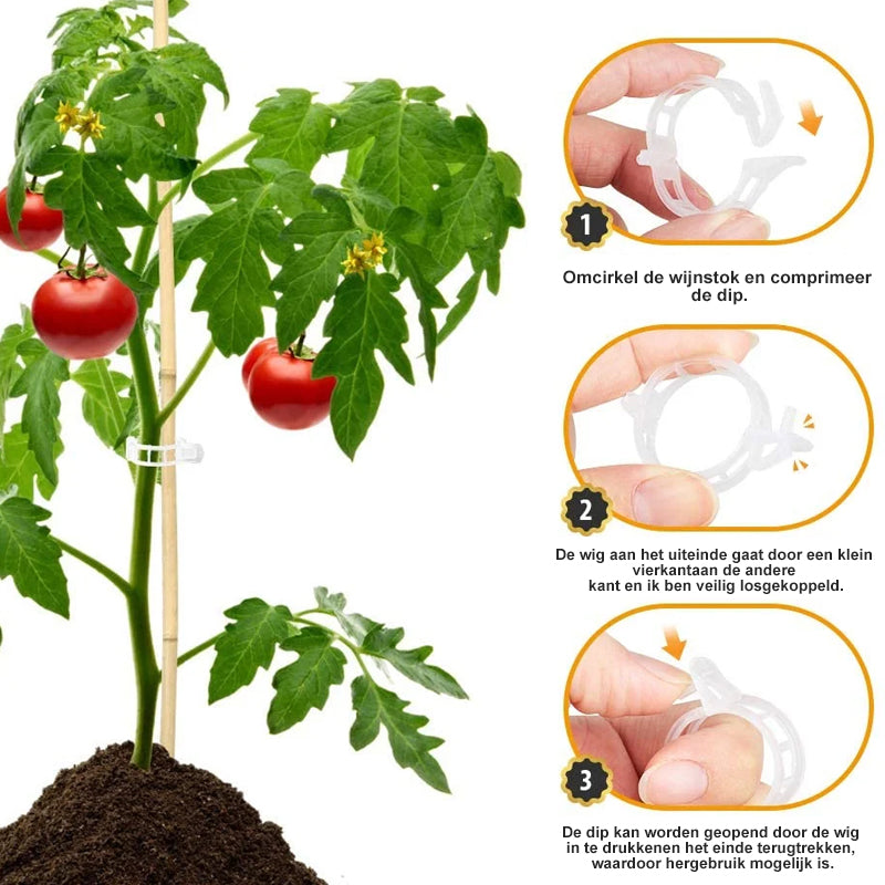 PlantBuddy™ | StemStabilisers - Keep your garden stable and strong!