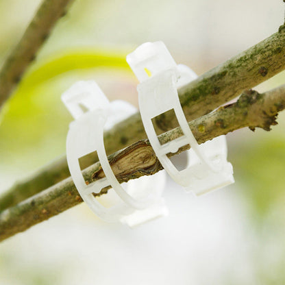 PlantBuddy™ | StemStabilisers - Keep your garden stable and strong!