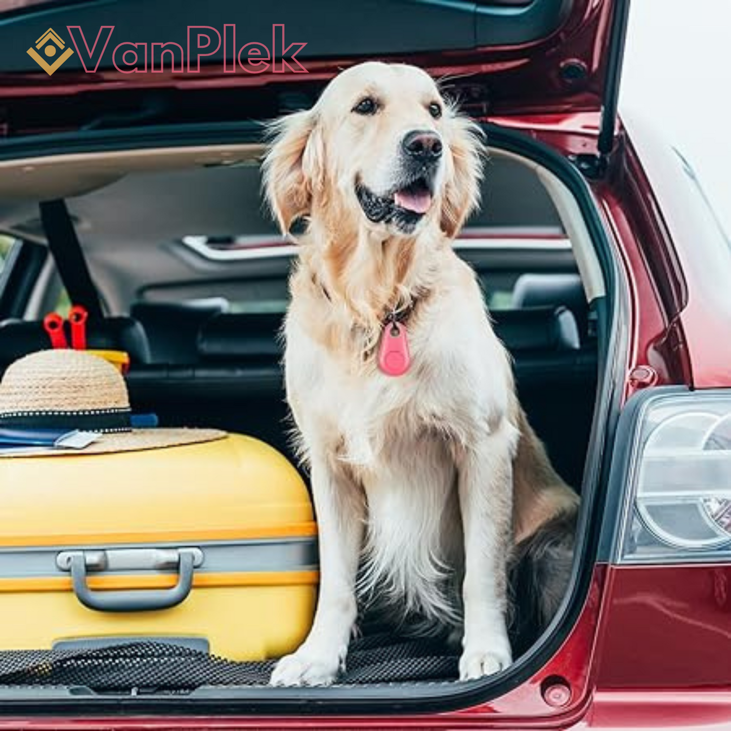 DogCatFri™ | PetTracker - Bluetooth and GPS wireless pet tracker 