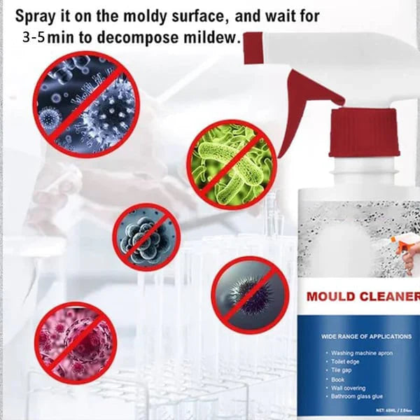 MoldGone™ | Powerful Spray