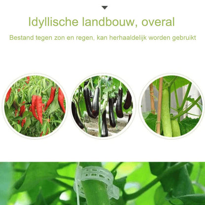 PlantBuddy™ | StemStabilisers - Keep your garden stable and strong!