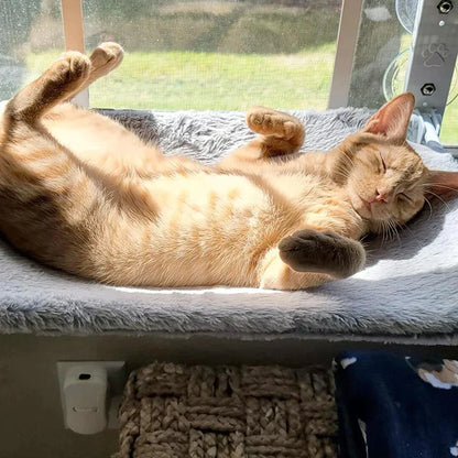 HappyMeoww™ - Supreme cat hangmat [laatste dag korting]