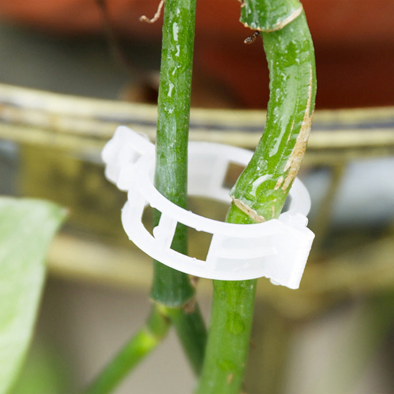 PlantBuddy™ | StemStabilisers - Keep your garden stable and strong!